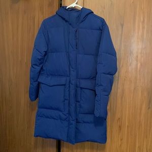 Everlane cobalt blue puffy jacket